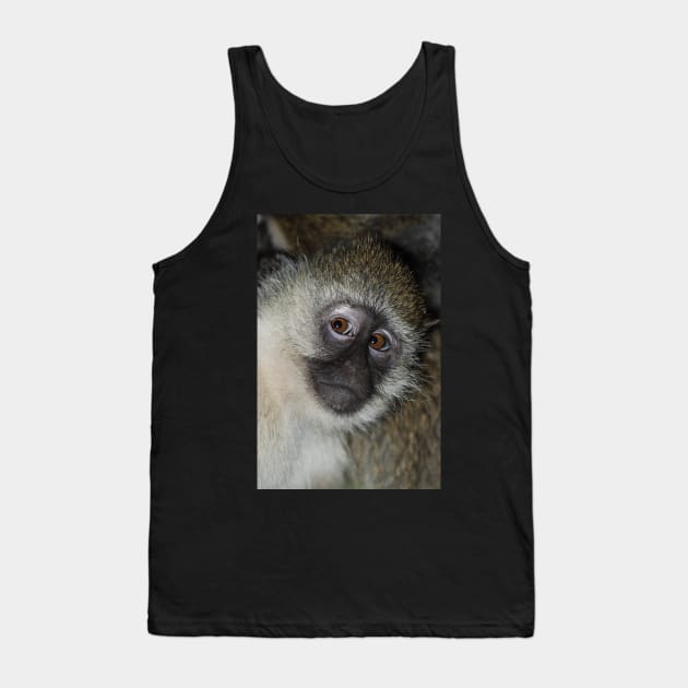 Black-faced Vervet Monkey, Kenya. Tank Top by Carole-Anne